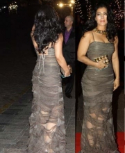 Celebrities they dressed